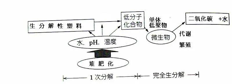 可生物降解環(huán)保塑料可以回收再利用嗎？(圖3)