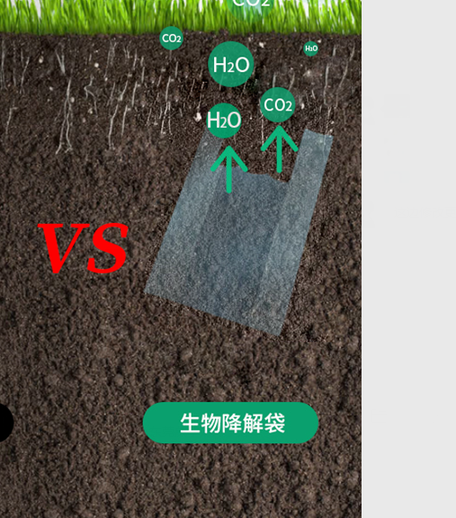 可生物降解環(huán)保塑料可以回收再利用嗎？(圖1)