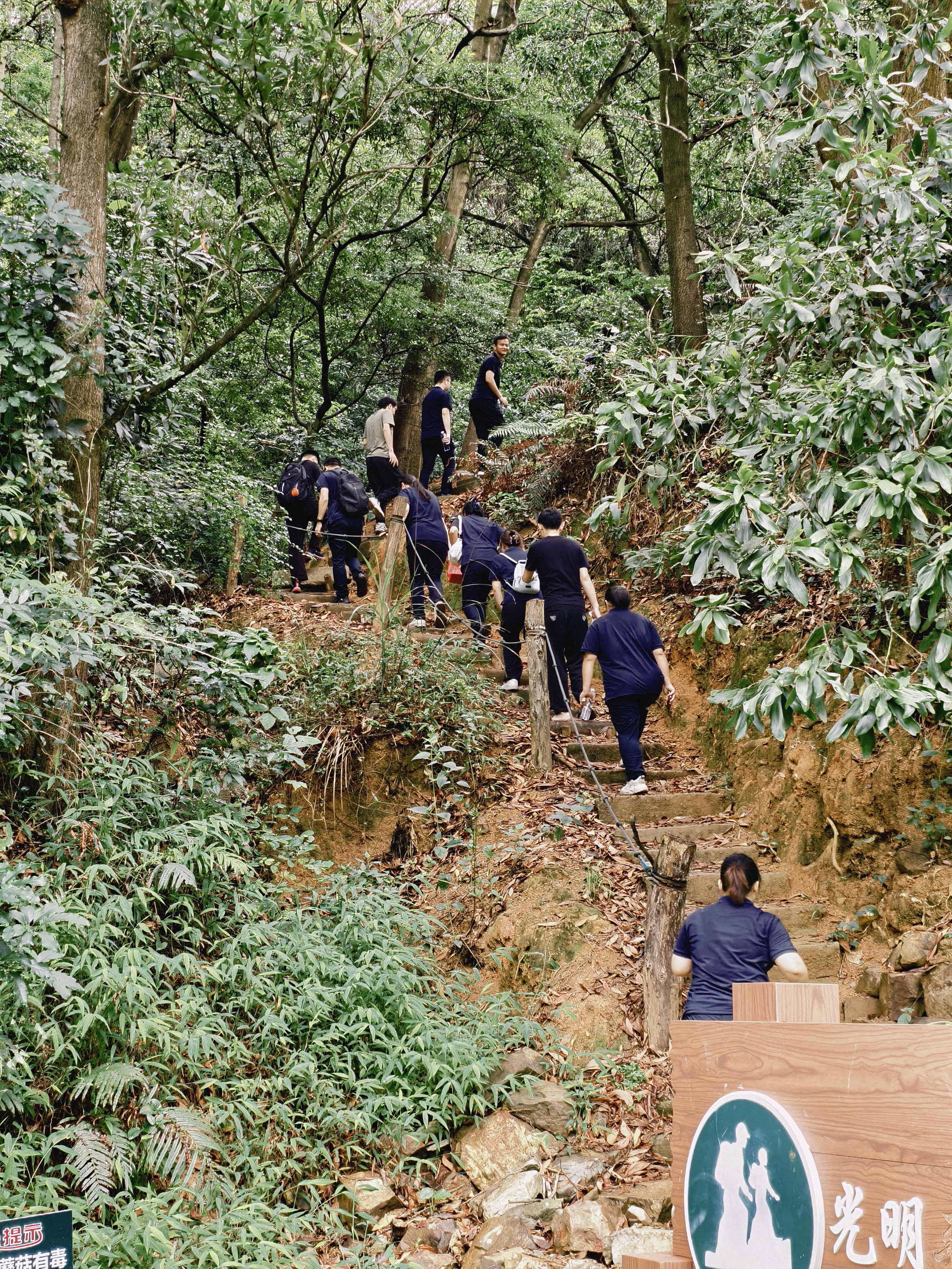 久信達科技公司員工齊聚光明區(qū)蠄蜍石，開啟活力爬山之旅暨團建活動(圖2)