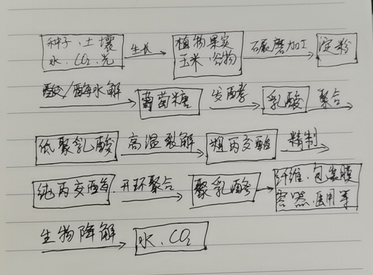 生物降解袋中的PLA是如何制得的？(圖1)