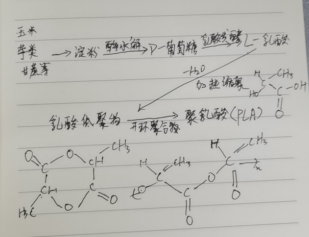 生物降解袋中的PLA是如何制得的？(圖2)